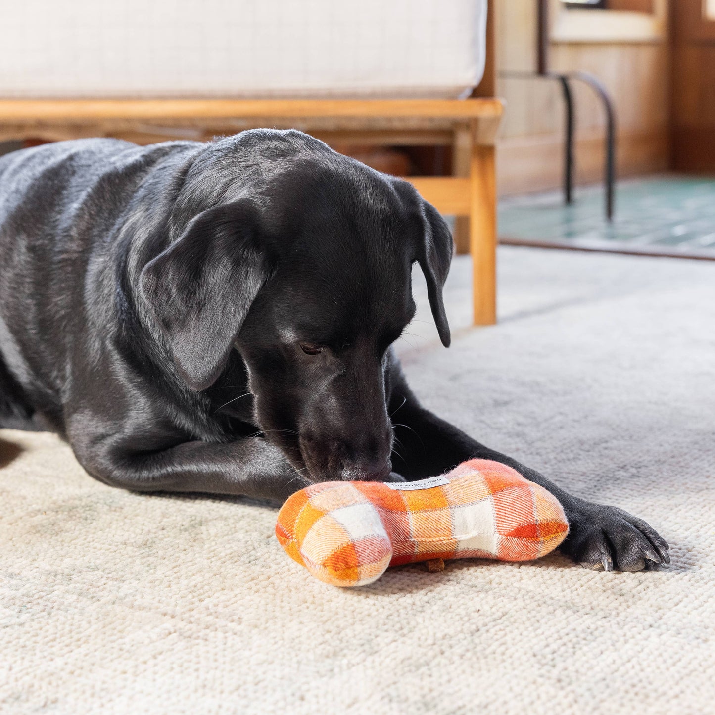 Dog Bone Squeaky Toy - Pumpkin Spice Plaid Fall Flannel