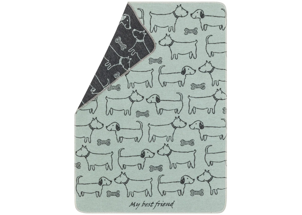 Pet Blanket -- Best Friends All Over -- Light Green