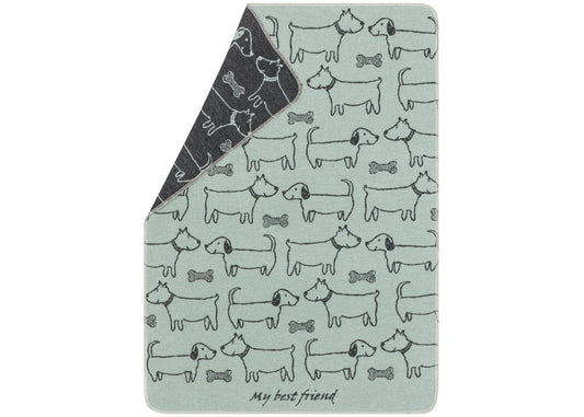 Pet Blanket -- Best Friends All Over -- Light Green