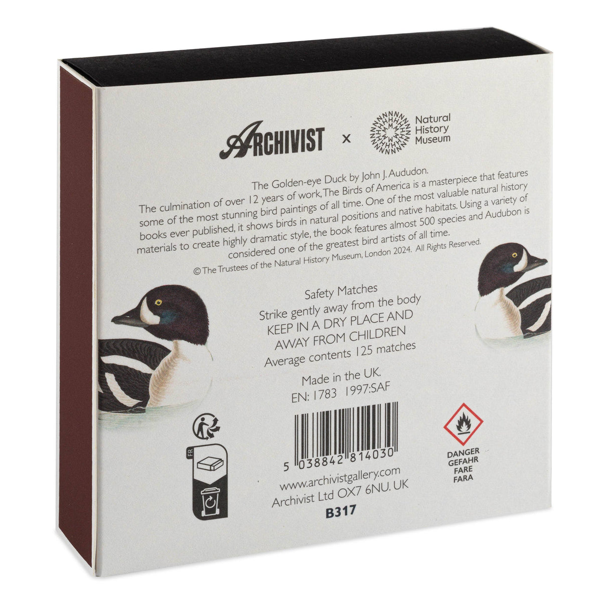 The Golden-eye Duck by Audubon  | Square - Safety Matches