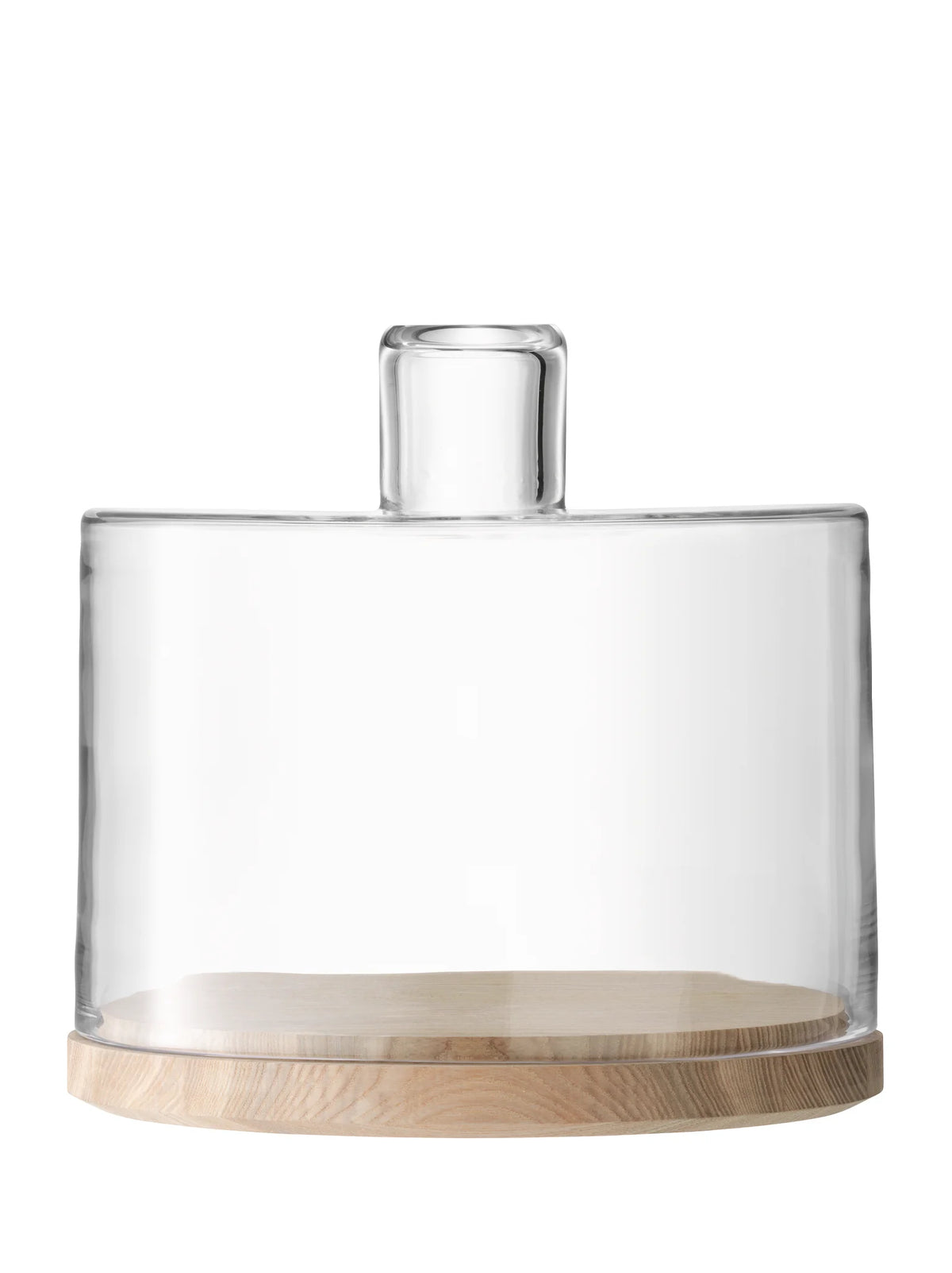 Cake/Cheese Server and Dome